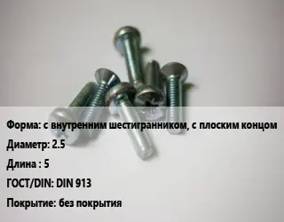 Винт с внутренним шестигранником, с плоским концом 2.5х5 DIN 913 без покрытия